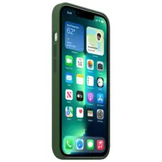 5 - Чехол Apple iPhone 13 Pro Max, Clover