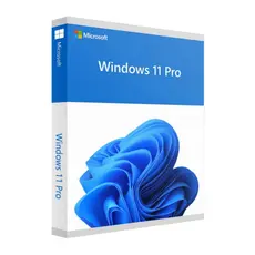 Windows 11 Pro 64Bit Eng Intl 1pk DSP OEI DVD 1029