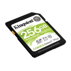6 - Карта памяти Kingston Canvas Select Plus, 256Гб (SDS2/256GB)
