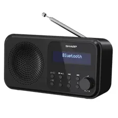 4 - Портативное радио Sharp DR-P420BKV01, Чёрный