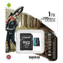 3 - Карта памяти Kingston Canvas Go! Plus, 1024Гб (SDCG3/1TB)