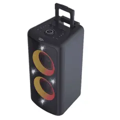 3 - Портативная колонка F&D PA300, Чёрный