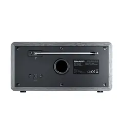 4 - Портативное радио Sharp DR-450GRV02, Grey