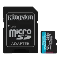 2 - Карта памяти Kingston Canvas Go! Plus, 256Гб (SDCG3/256GB)