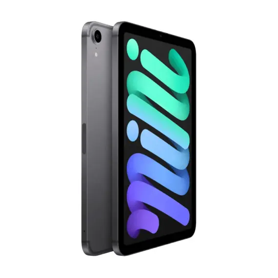 5 - Apple 8.3-inch iPad mini Wi-Fi + Cellular 64Gb Space Grey (MK893RK/A)
