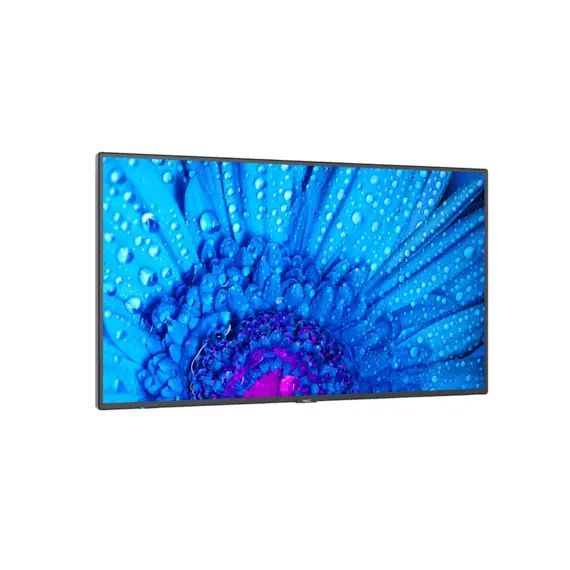 5 - 65" Display NEC MultiSync M651, UHD, 500cd/m2, E-LED backlight, 24/7...