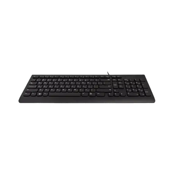 5 - Lenovo 300 USB Keyboard Russian/Cyrillic 441