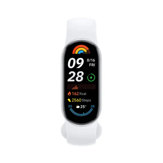 2 - Xiaomi Smart Band 9 Glacier Silver