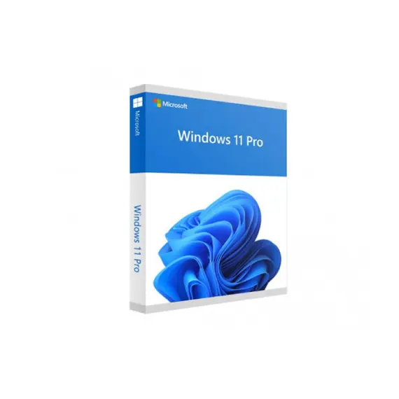 2 - WIN PRO FPP 11 64BIT ENG INTL NON-E