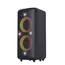 Portable Audio System F&D PA300, 100W, 11.1V/8000mAh, IPX4, TWS,...