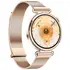 Умные часы Huawei Watch GT 6, 41мм, Gold Milanese 54293